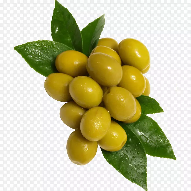 橄榄地中海菜水果图像文件格式-橄榄