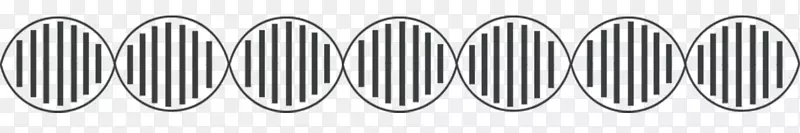 DNA载体核酸双螺旋细胞载体