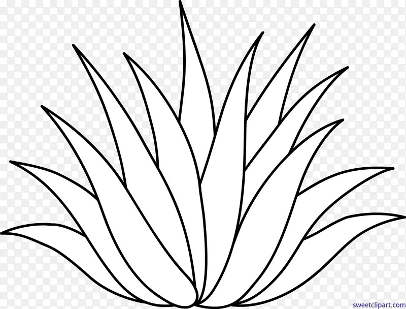 画线艺术芦荟百叶植物剪贴画-植物