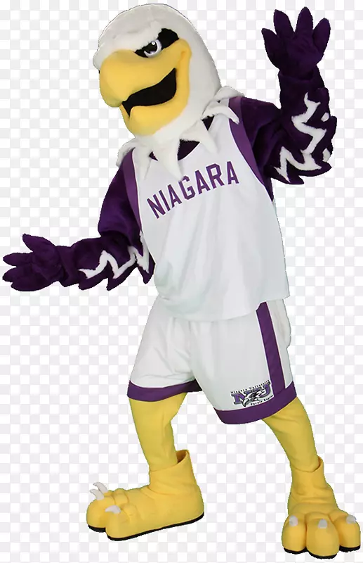 尼亚加拉大学尼亚加拉紫鹰女篮吉祥物蒙蒂服装