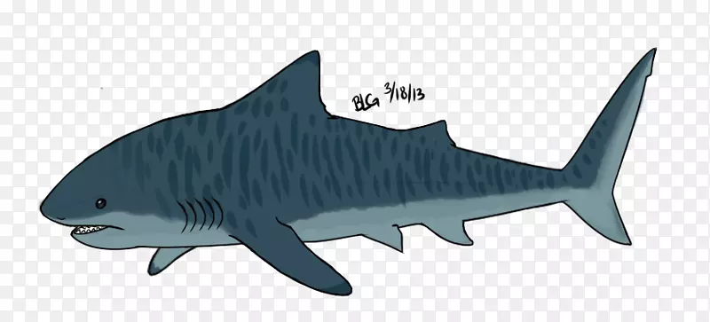 虎鲨画卡通-鲨鱼