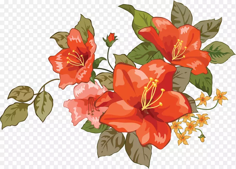 百合素描-花