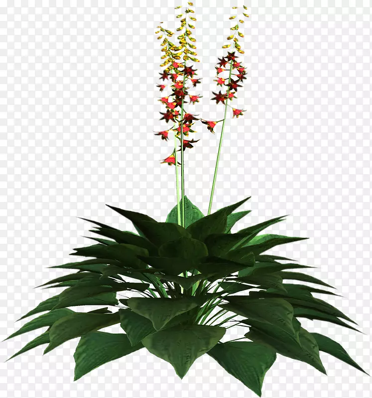 花卉设计花卉剪贴画