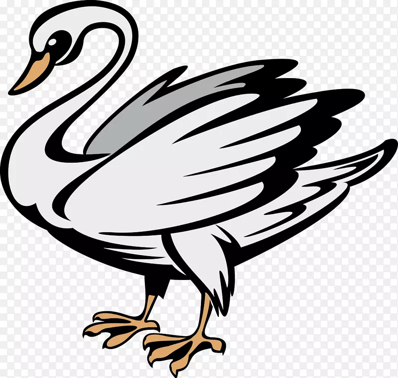 鸭徽纹章象征黑天鹅鸭