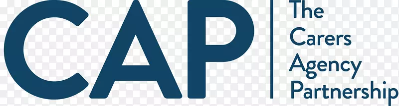CAPE分析公司徽标internet web Analytics
