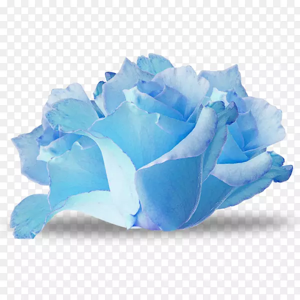 蓝玫瑰花纸-花