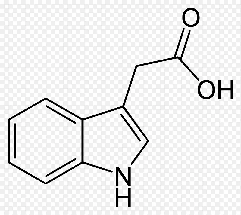 吲哚-3-乙酸吲哚-3-丁酸生长素植物激素-植物