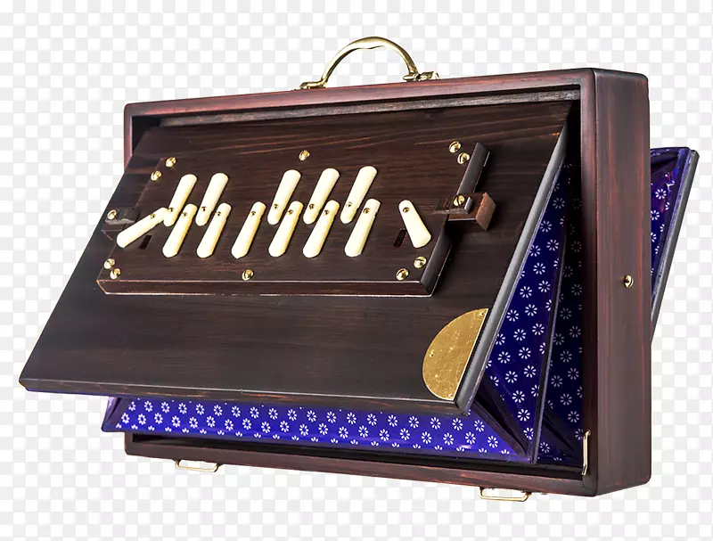 Shruti盒乐器坦普拉音符.乐器