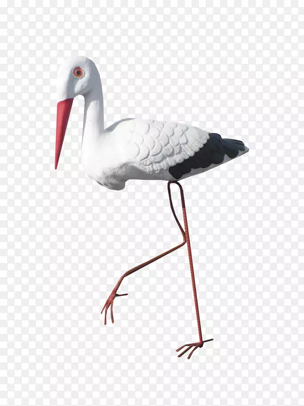 白鹳鸟夹艺术-鸟