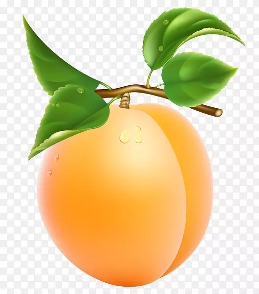 杏果夹艺术-水果徽章