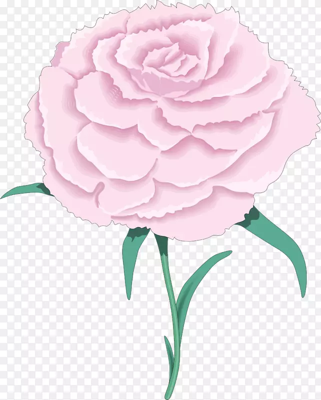 玫瑰插花艺术-玫瑰