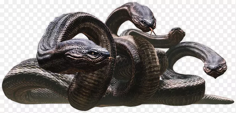 美杜莎·勒尔奈水蛇-希腊神话-怪物