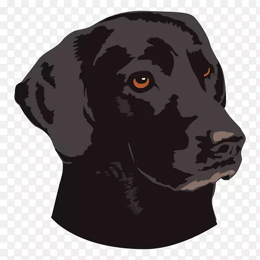 法国斗牛犬美洲驼宠物黑狗