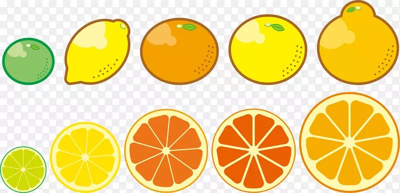 柠檬蜜柑水果食品橘子-柠檬