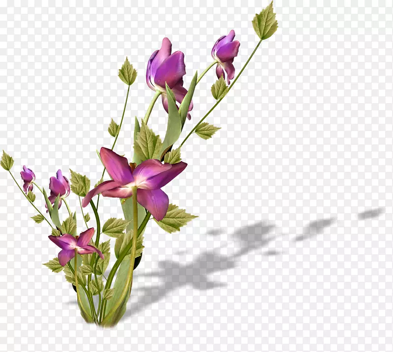 花卉设计切花花瓣植物-花卉