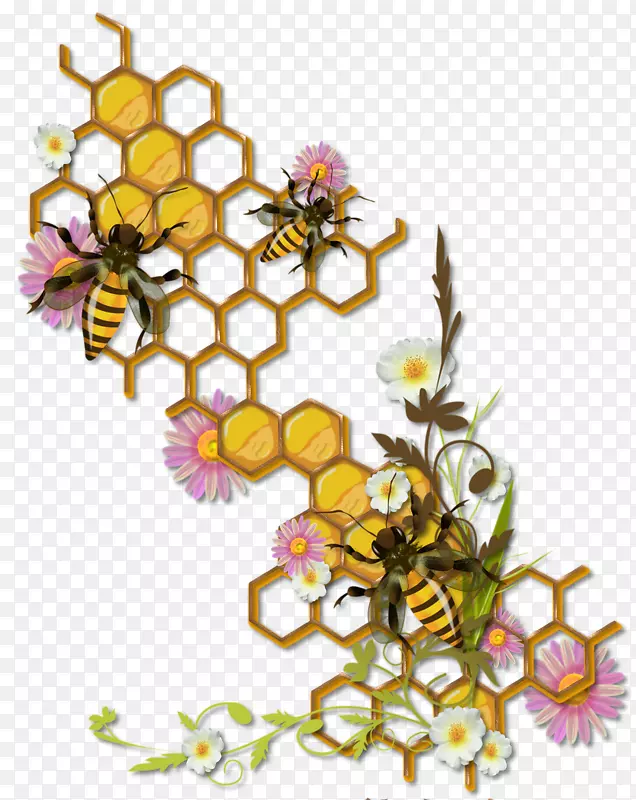 蜜蜂昆虫蜂巢