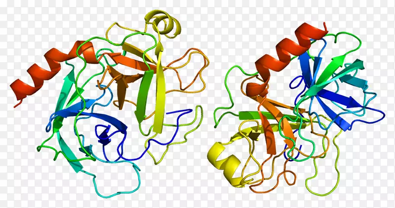 胰蛋白酶1酶胰蛋白酶原丝氨酸蛋白酶-酶