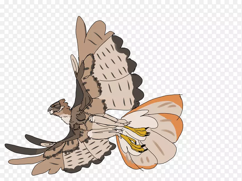 猫头鹰翅膀昆虫卡通-猫头鹰