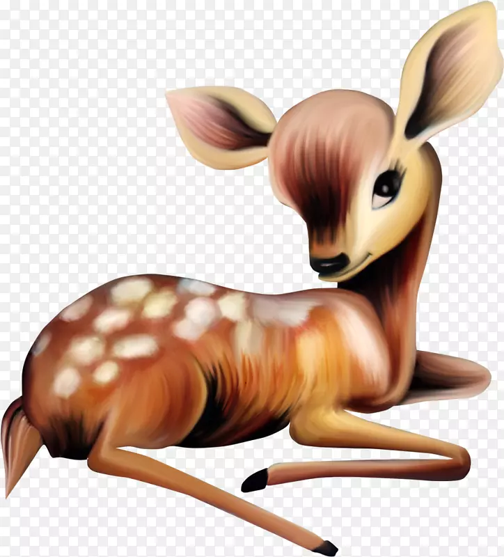 白尾鹿母鹿