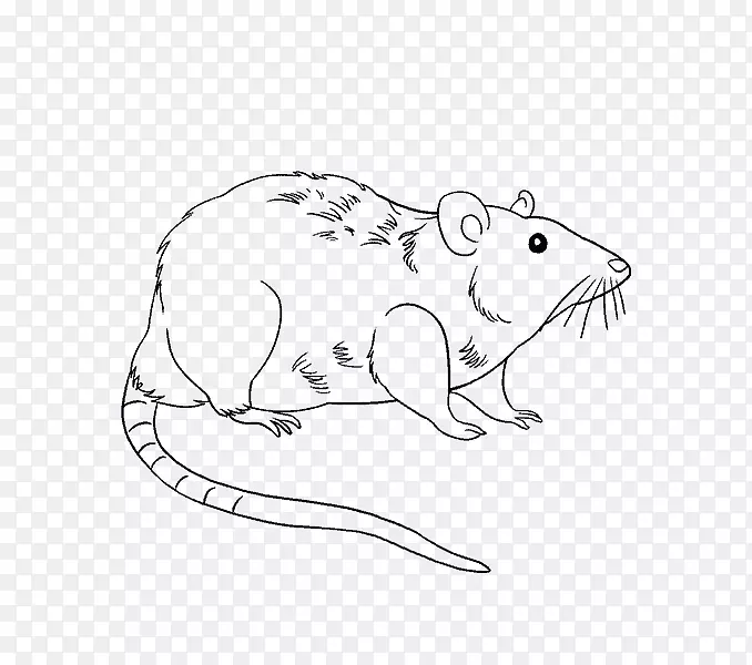 绘制实验大鼠棕色鼠-明片简单遮阳