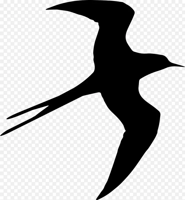 燕子轮廓-鸟