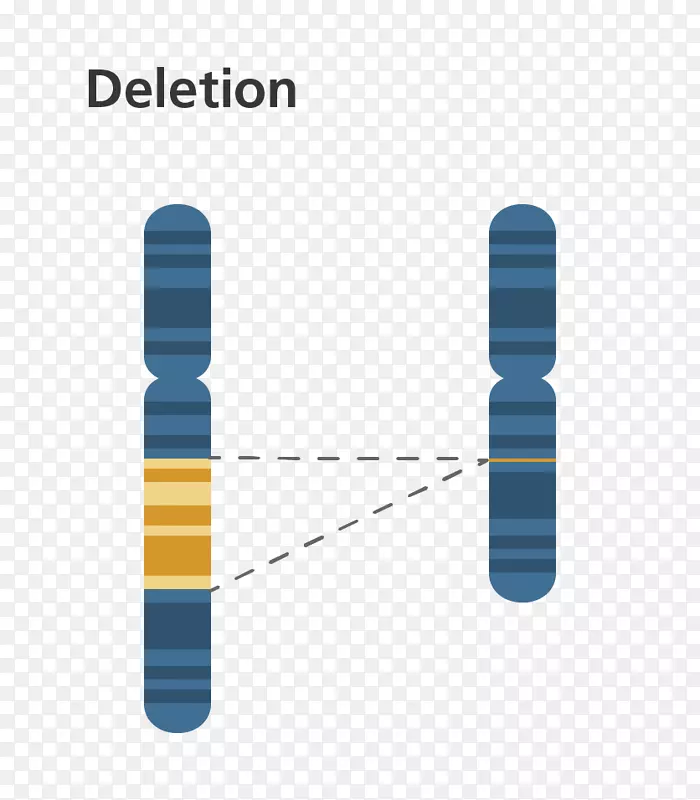 染色体异常缺失DiGeorge综合征突变-遗传物质