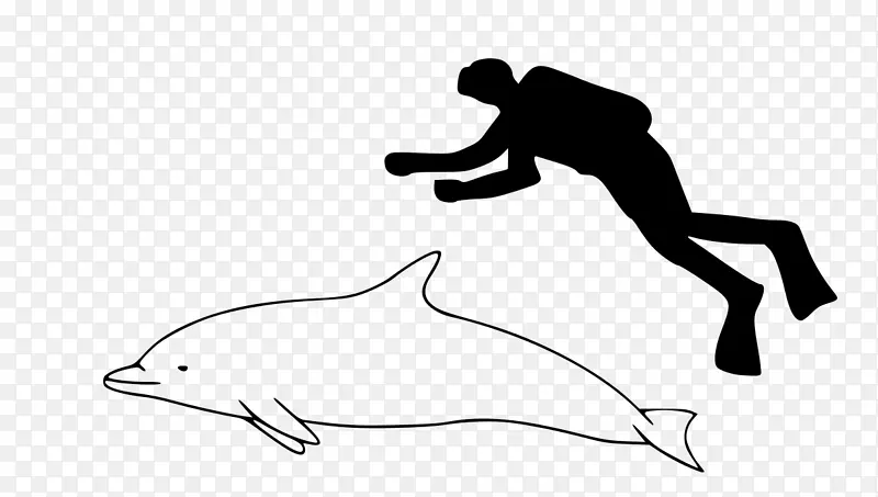 旋转海豚条纹海豚江豚赫克托的海豚