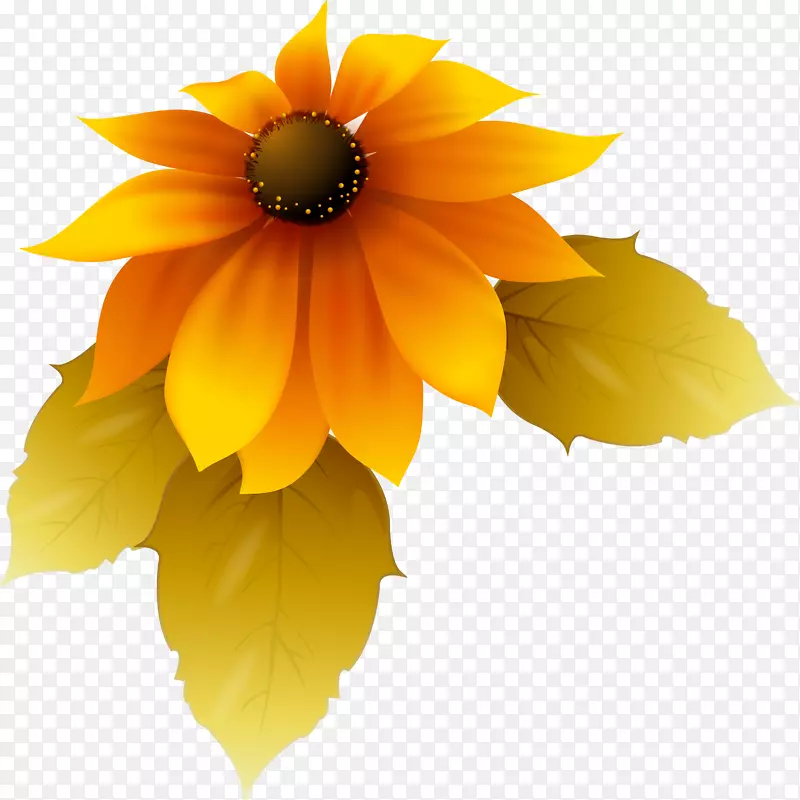 花瓣-向日葵装饰材料