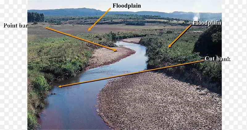 河流形态沉积河流沉积点坝-亚马逊河
