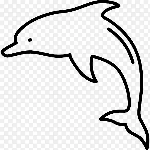 图库溪水生动物海豚鳍载体
