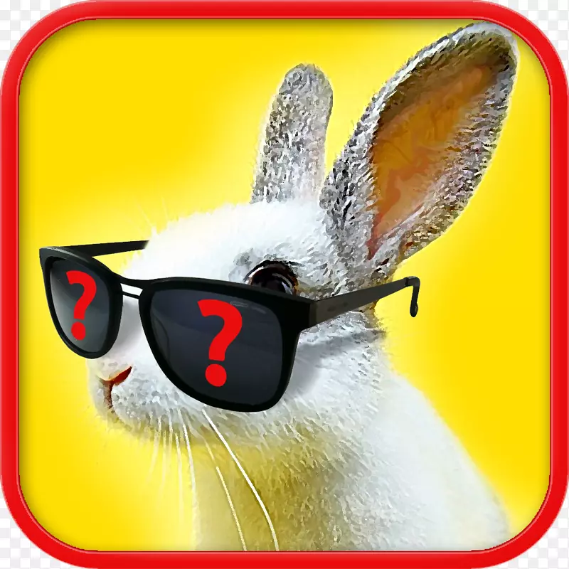 国内兔子复活节兔子眼镜野兔眼镜
