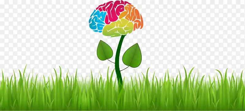 神经心理学认知神经病学-花和漩涡