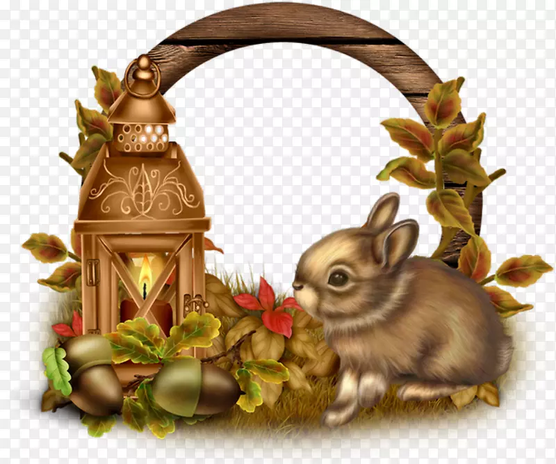 家兔复活节兔中秋兔