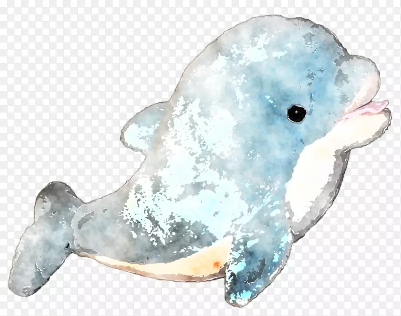 海豚水彩画-海豚