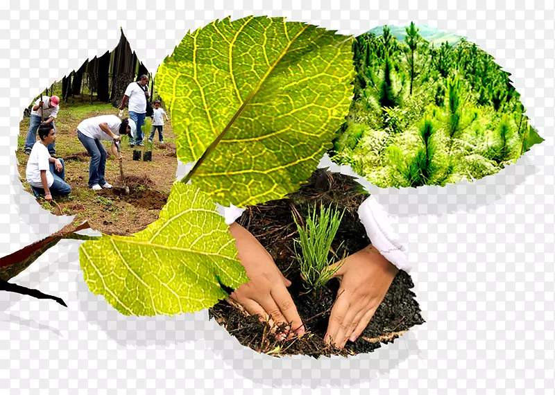 自然环境保护运动自然环境法全球变暖-自然环境