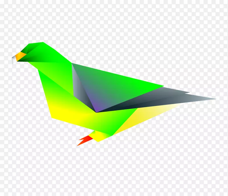 鸟嘴非洲侏儒翠鸟布鲁斯的绿色鸽子