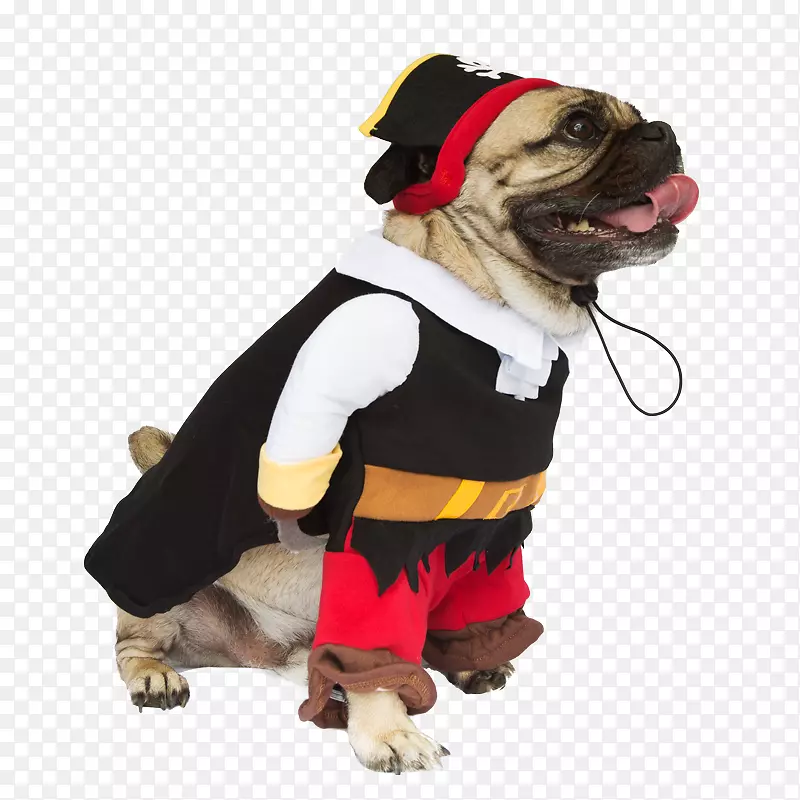 狗繁殖服装小狗宠物衣服-一只带帽子的狗