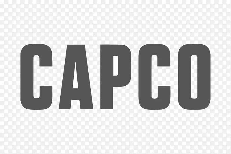 CAPCO顾问管理咨询公司-业务