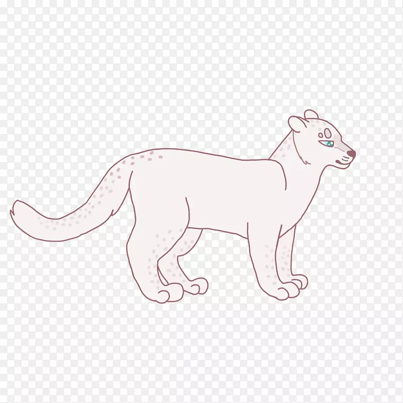 胡须猫熊线艺术陆地动物猫