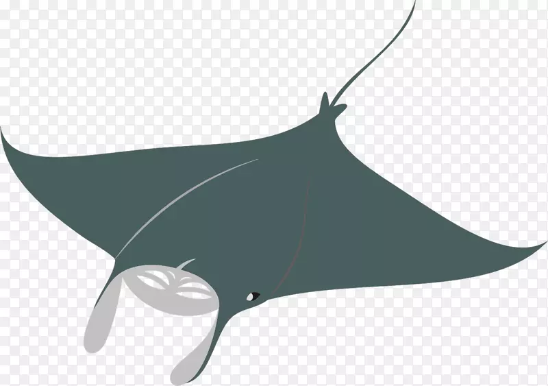 鲨鱼巨型海洋螳螂鱼鞭尾黄貂鱼-曼塔健身标志