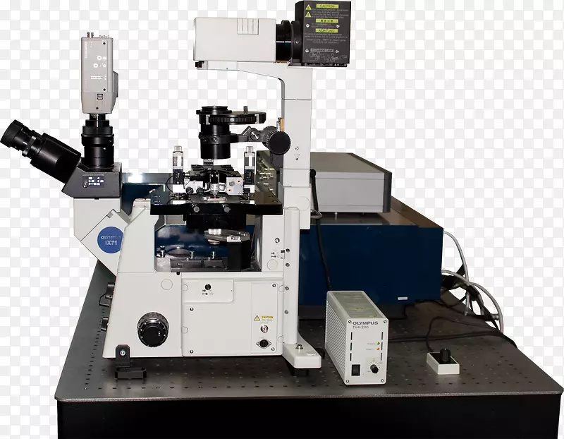光学显微镜，扫描探针显微镜，共聚焦显微镜，原子力显微镜，显微镜