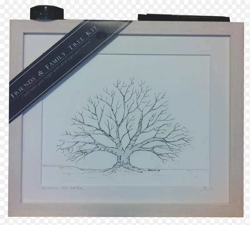 绘制相框/m/02csf矩形字体-手绘树