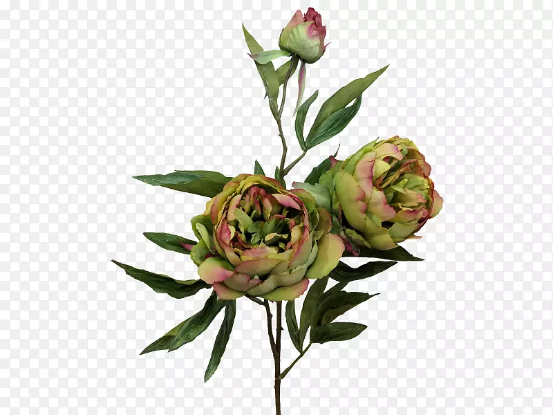 花园玫瑰花盆塑料宜家花盆白牡丹皮