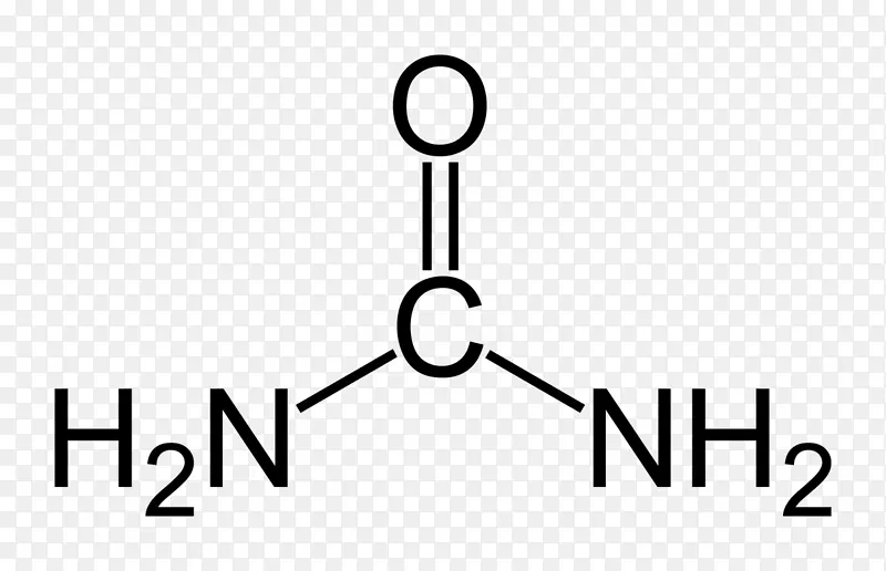 尿素循环有机化合物有机化学化合物点公式