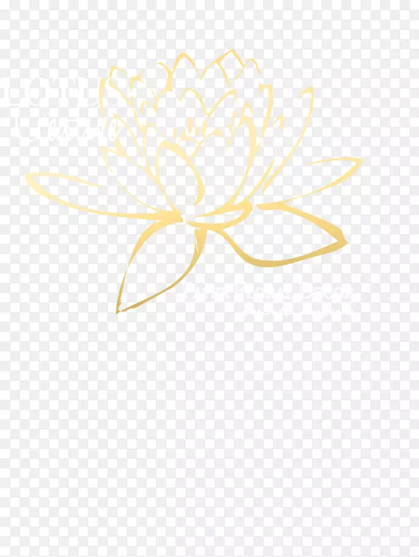 花瓣花卉设计双色莲花创意
