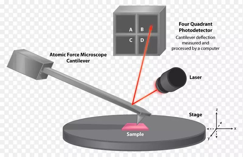 原子力显微镜扫描电子显微镜微生物显微镜