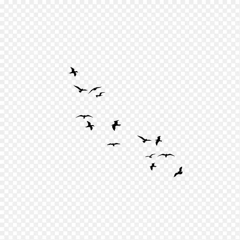 鸟群迁徙鸟类飞行-小野花