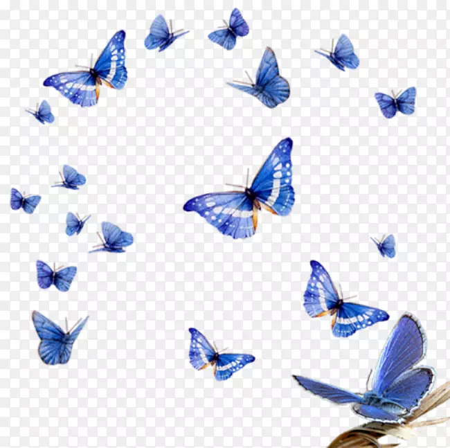 蝴蝶夹艺术-商场装饰