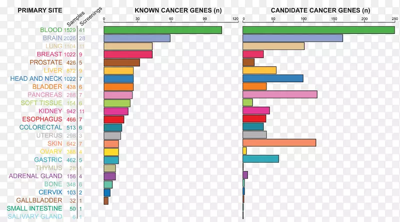 肿瘤基因复发网络胰腺癌治疗-癌细胞生殖细胞图谱