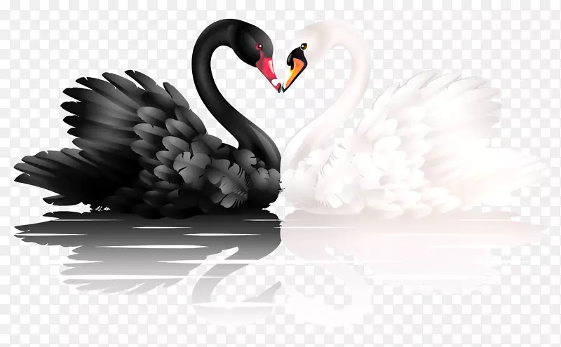 黑天鹅心脏夹艺术-黑天鹅